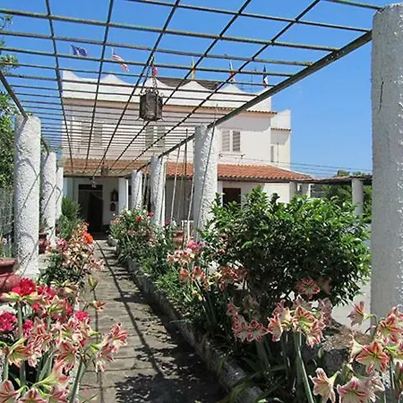 Alba Chiara 3*